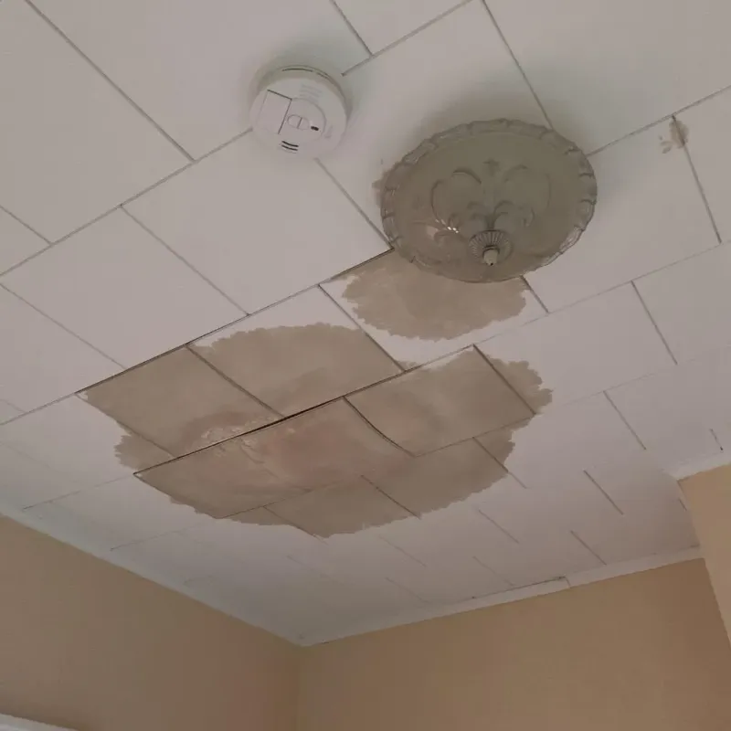Ceiling Water Damage Repair in Luther, OK