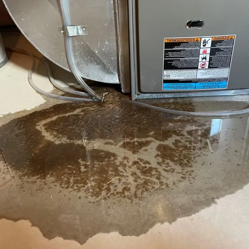 Pipe Burst and Leak Restoration in Luther, OK